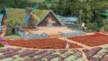 Khám Phá Buôn Ma Thuột và Đà Lạt